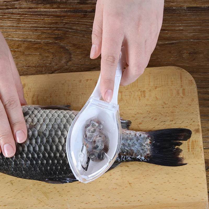 Fish Cleaning Scraper Scales Collection Box